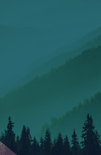 insights_banner_mobile_3